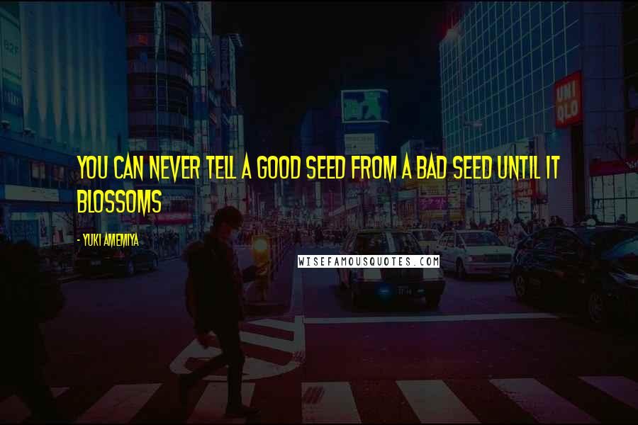 Yuki Amemiya Quotes: You can never tell a good seed from a bad seed until it blossoms