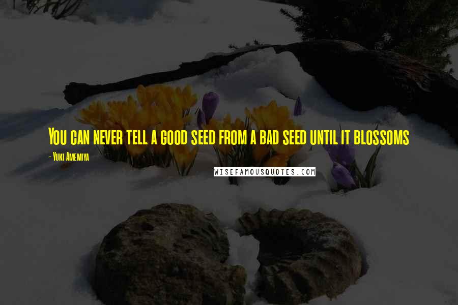 Yuki Amemiya Quotes: You can never tell a good seed from a bad seed until it blossoms