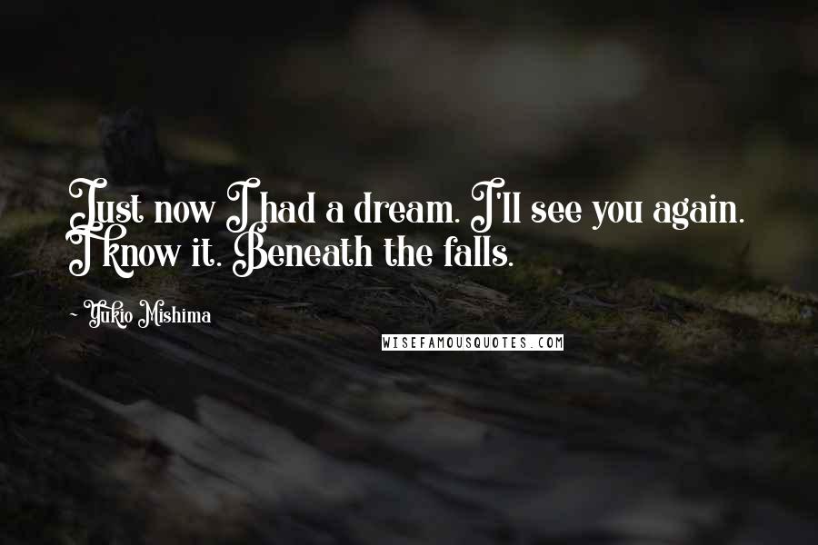 Yukio Mishima Quotes: Just now I had a dream. I'll see you again. I know it. Beneath the falls.