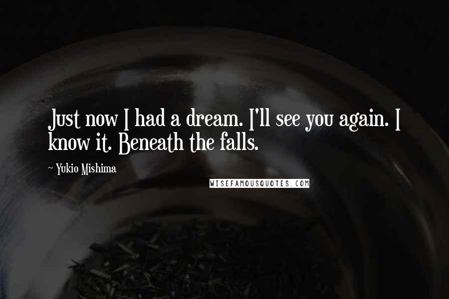 Yukio Mishima Quotes: Just now I had a dream. I'll see you again. I know it. Beneath the falls.