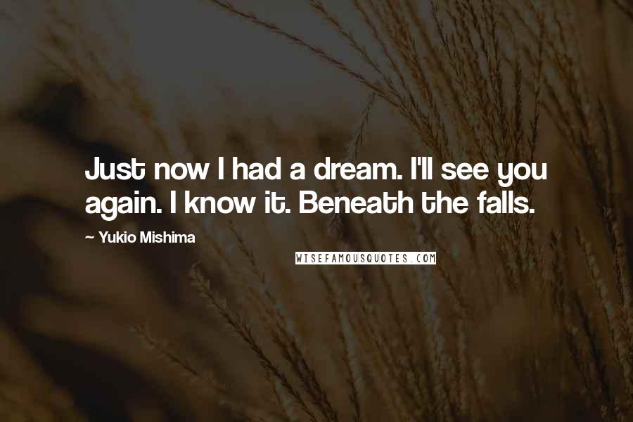 Yukio Mishima Quotes: Just now I had a dream. I'll see you again. I know it. Beneath the falls.