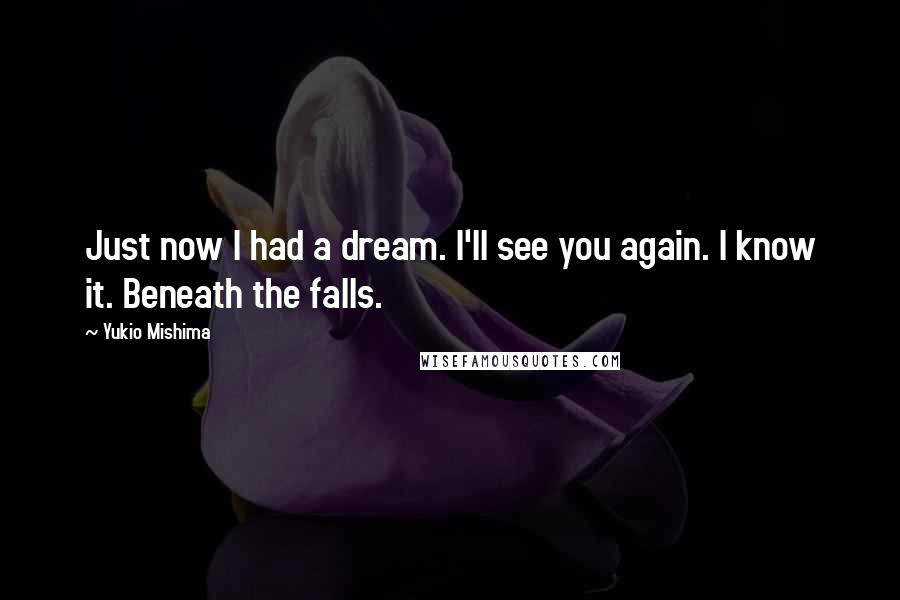 Yukio Mishima Quotes: Just now I had a dream. I'll see you again. I know it. Beneath the falls.