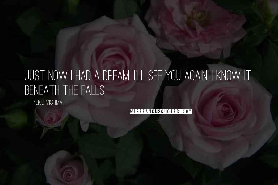 Yukio Mishima Quotes: Just now I had a dream. I'll see you again. I know it. Beneath the falls.