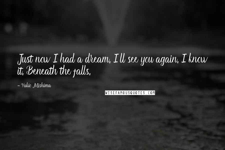 Yukio Mishima Quotes: Just now I had a dream. I'll see you again. I know it. Beneath the falls.