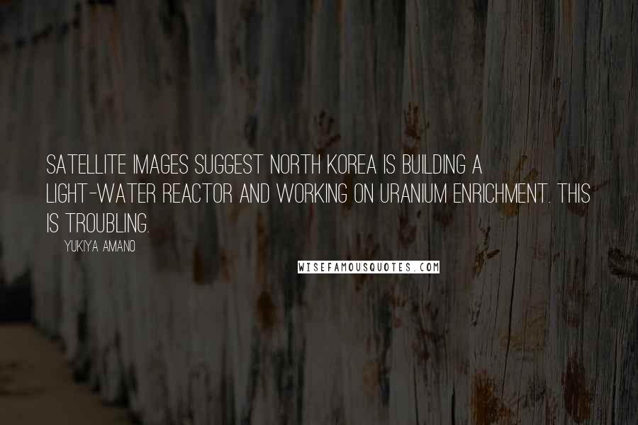 Yukiya Amano Quotes: Satellite images suggest North Korea is building a light-water reactor and working on uranium enrichment. This is troubling.