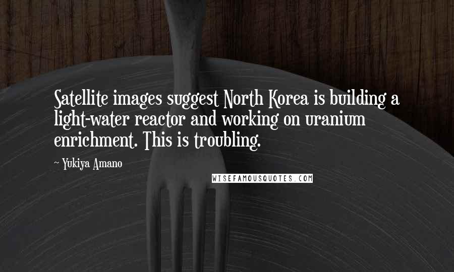 Yukiya Amano Quotes: Satellite images suggest North Korea is building a light-water reactor and working on uranium enrichment. This is troubling.