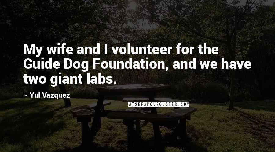 Yul Vazquez Quotes: My wife and I volunteer for the Guide Dog Foundation, and we have two giant labs.