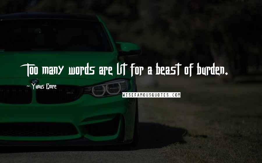 Yunus Emre Quotes: Too many words are lit for a beast of burden.