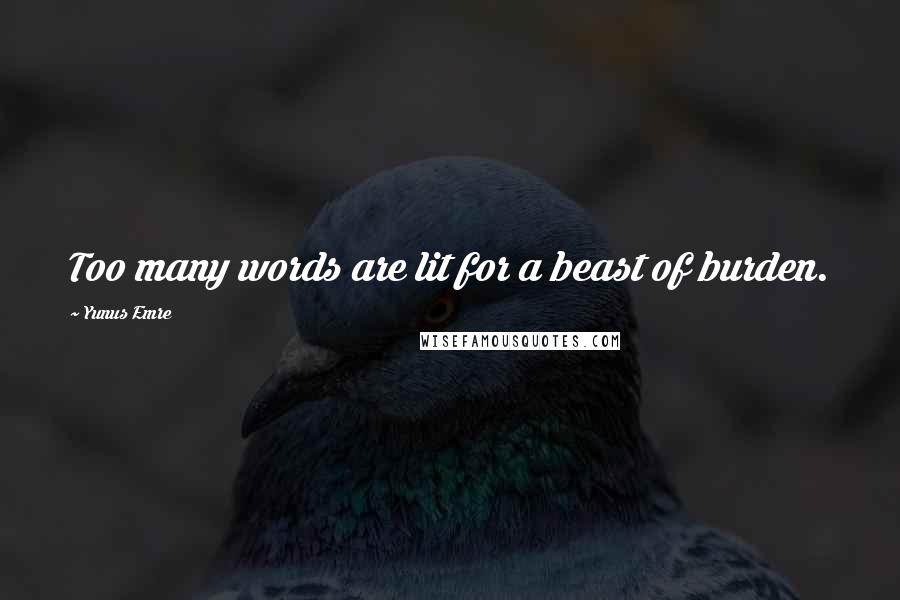 Yunus Emre Quotes: Too many words are lit for a beast of burden.