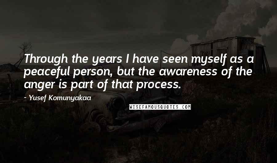 Yusef Komunyakaa Quotes: Through the years I have seen myself as a peaceful person, but the awareness of the anger is part of that process.