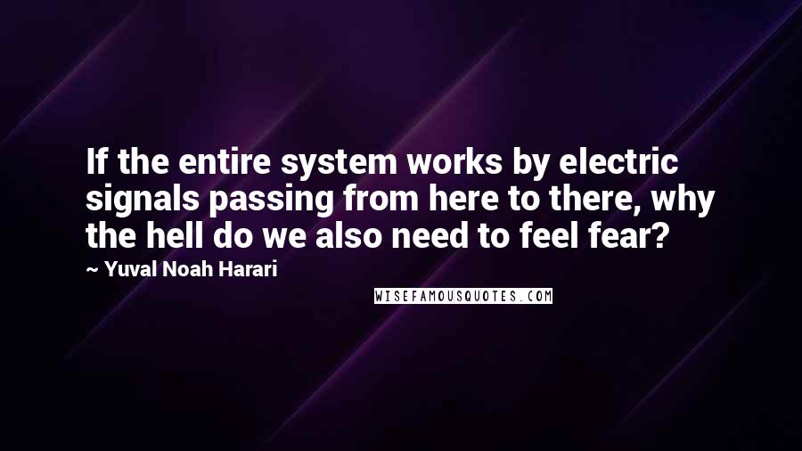 Yuval Noah Harari Quotes: If the entire system works by electric signals passing from here to there, why the hell do we also need to feel fear?