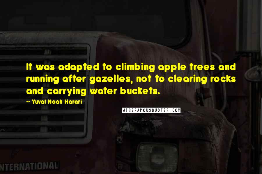 Yuval Noah Harari Quotes: It was adapted to climbing apple trees and running after gazelles, not to clearing rocks and carrying water buckets.