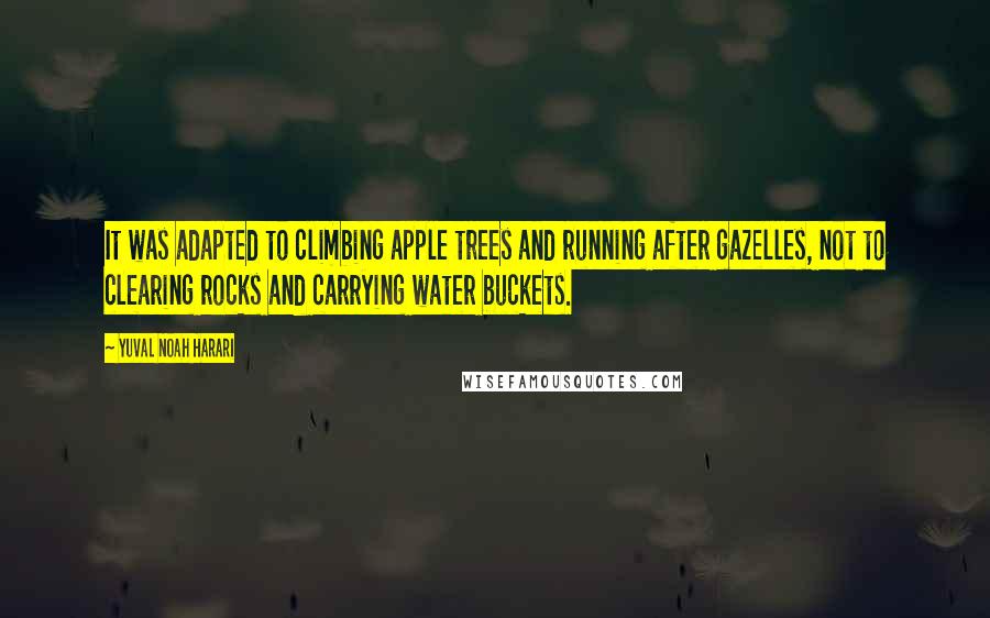 Yuval Noah Harari Quotes: It was adapted to climbing apple trees and running after gazelles, not to clearing rocks and carrying water buckets.