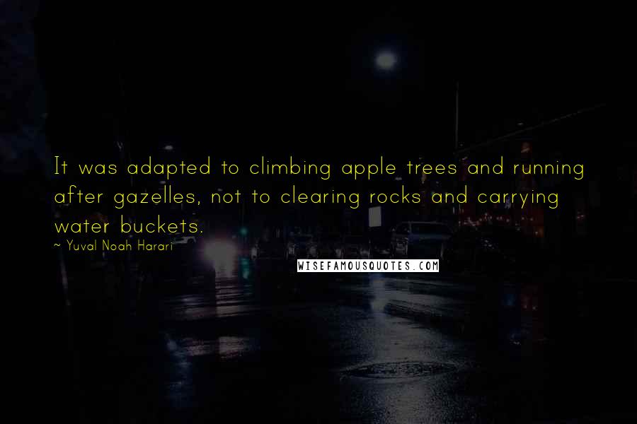 Yuval Noah Harari Quotes: It was adapted to climbing apple trees and running after gazelles, not to clearing rocks and carrying water buckets.