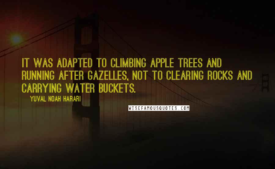 Yuval Noah Harari Quotes: It was adapted to climbing apple trees and running after gazelles, not to clearing rocks and carrying water buckets.