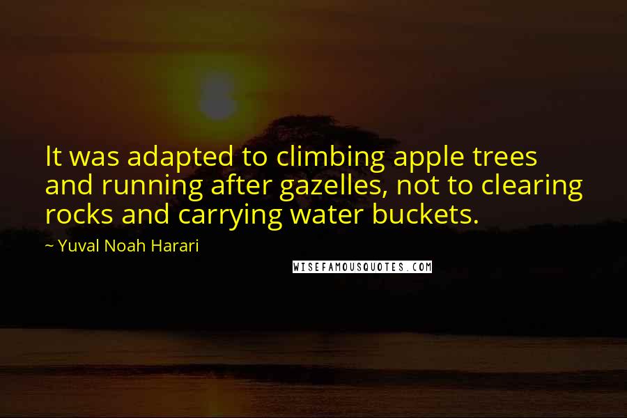 Yuval Noah Harari Quotes: It was adapted to climbing apple trees and running after gazelles, not to clearing rocks and carrying water buckets.