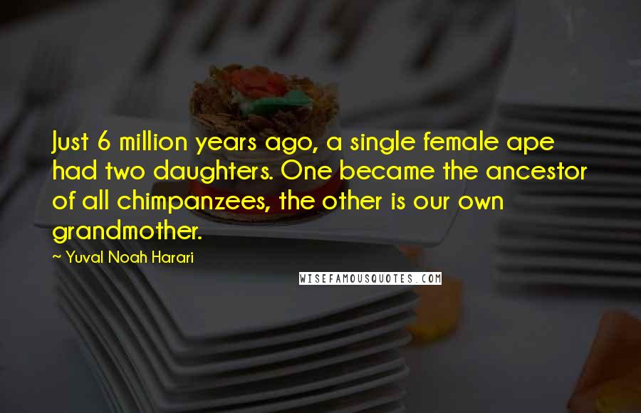 Yuval Noah Harari Quotes: Just 6 million years ago, a single female ape had two daughters. One became the ancestor of all chimpanzees, the other is our own grandmother.