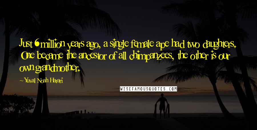 Yuval Noah Harari Quotes: Just 6 million years ago, a single female ape had two daughters. One became the ancestor of all chimpanzees, the other is our own grandmother.