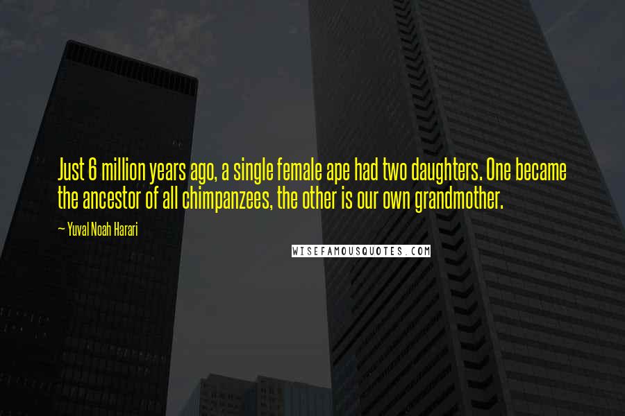 Yuval Noah Harari Quotes: Just 6 million years ago, a single female ape had two daughters. One became the ancestor of all chimpanzees, the other is our own grandmother.