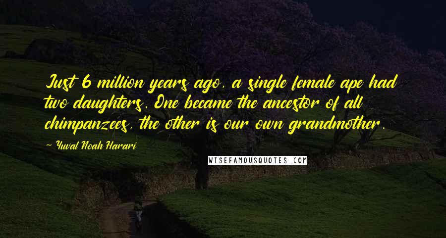 Yuval Noah Harari Quotes: Just 6 million years ago, a single female ape had two daughters. One became the ancestor of all chimpanzees, the other is our own grandmother.