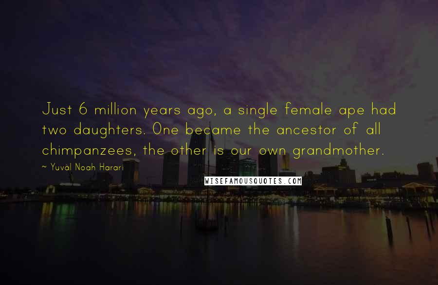 Yuval Noah Harari Quotes: Just 6 million years ago, a single female ape had two daughters. One became the ancestor of all chimpanzees, the other is our own grandmother.