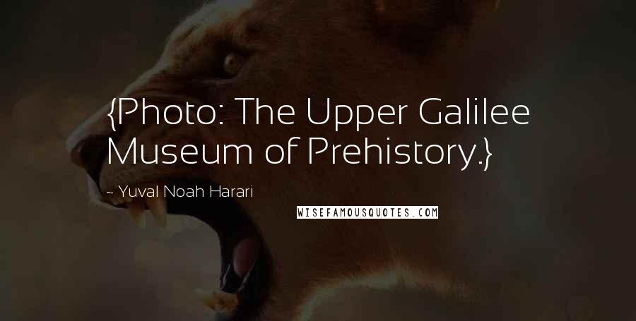 Yuval Noah Harari Quotes: {Photo: The Upper Galilee Museum of Prehistory.}