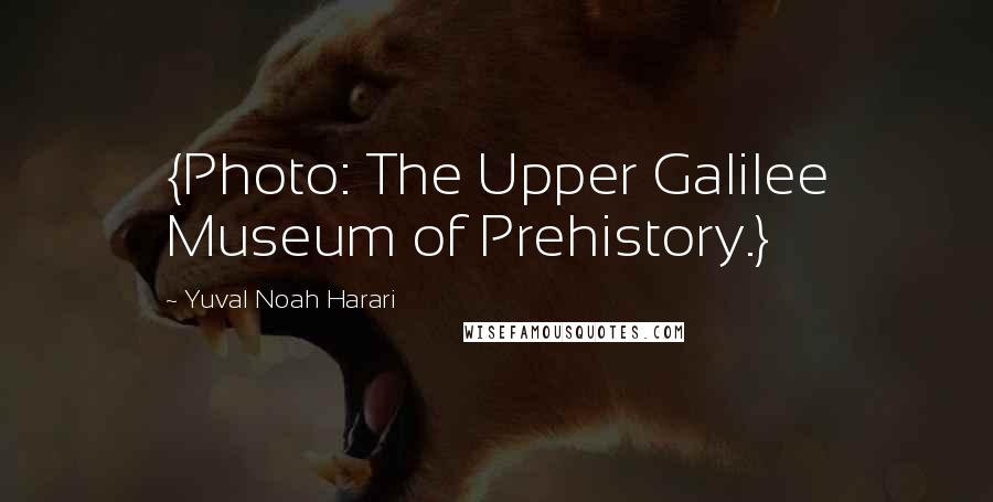 Yuval Noah Harari Quotes: {Photo: The Upper Galilee Museum of Prehistory.}