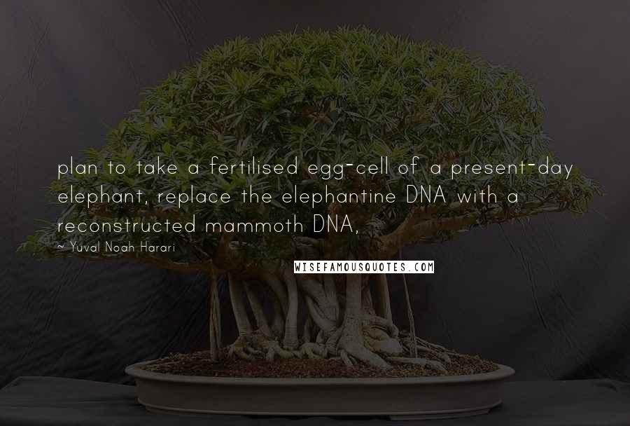 Yuval Noah Harari Quotes: plan to take a fertilised egg-cell of a present-day elephant, replace the elephantine DNA with a reconstructed mammoth DNA,