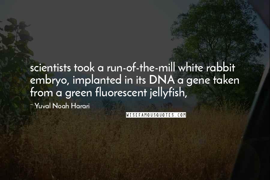 Yuval Noah Harari Quotes: scientists took a run-of-the-mill white rabbit embryo, implanted in its DNA a gene taken from a green fluorescent jellyfish,