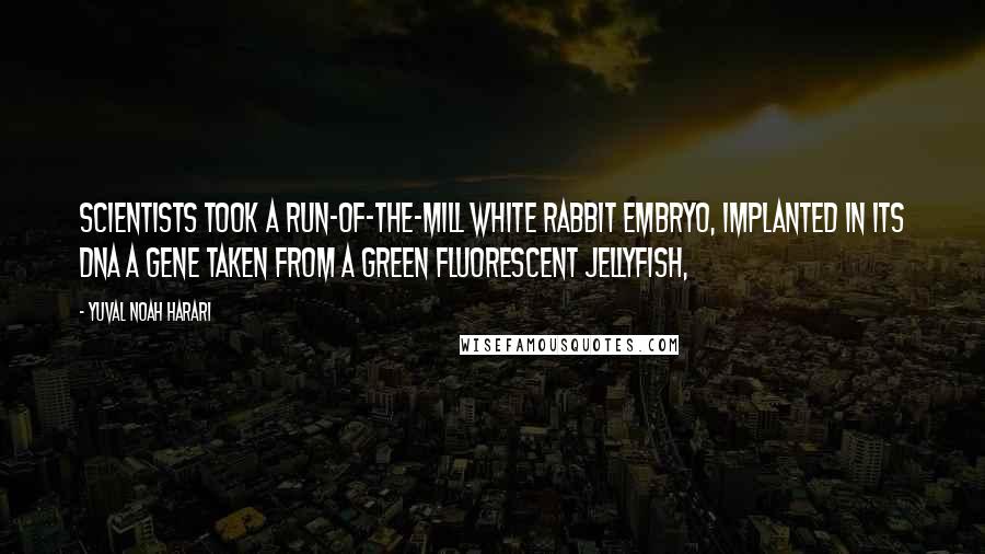 Yuval Noah Harari Quotes: scientists took a run-of-the-mill white rabbit embryo, implanted in its DNA a gene taken from a green fluorescent jellyfish,