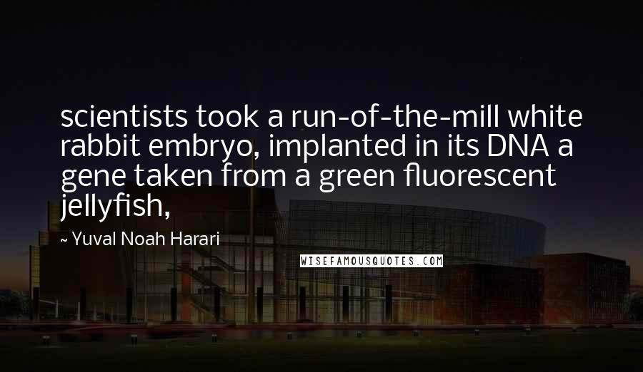 Yuval Noah Harari Quotes: scientists took a run-of-the-mill white rabbit embryo, implanted in its DNA a gene taken from a green fluorescent jellyfish,