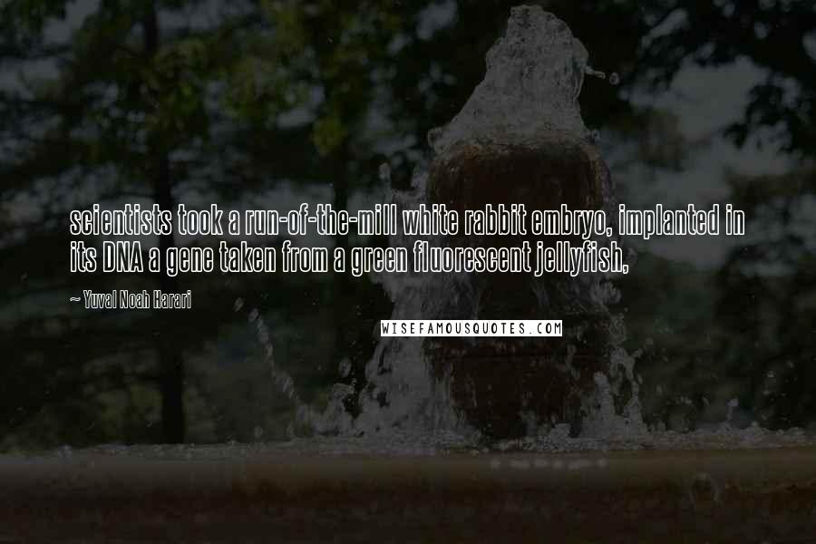 Yuval Noah Harari Quotes: scientists took a run-of-the-mill white rabbit embryo, implanted in its DNA a gene taken from a green fluorescent jellyfish,