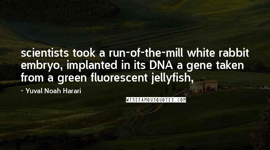 Yuval Noah Harari Quotes: scientists took a run-of-the-mill white rabbit embryo, implanted in its DNA a gene taken from a green fluorescent jellyfish,