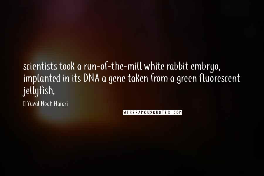 Yuval Noah Harari Quotes: scientists took a run-of-the-mill white rabbit embryo, implanted in its DNA a gene taken from a green fluorescent jellyfish,