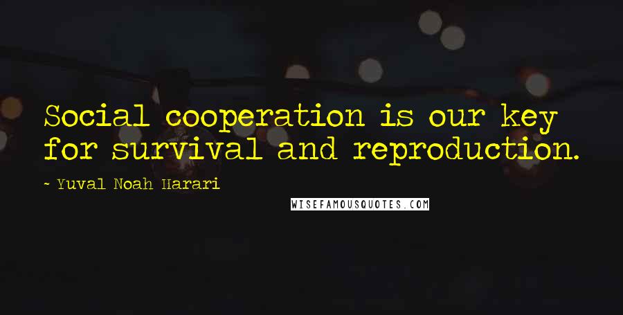 Yuval Noah Harari Quotes: Social cooperation is our key for survival and reproduction.