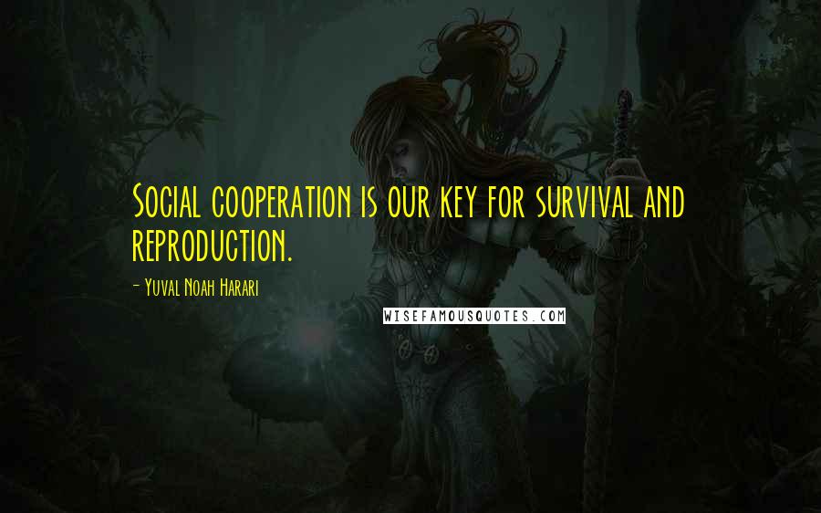 Yuval Noah Harari Quotes: Social cooperation is our key for survival and reproduction.