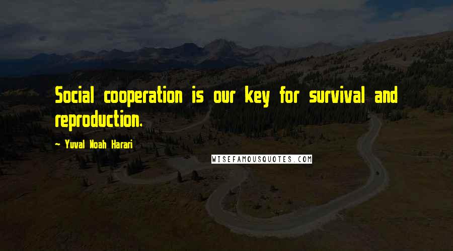 Yuval Noah Harari Quotes: Social cooperation is our key for survival and reproduction.
