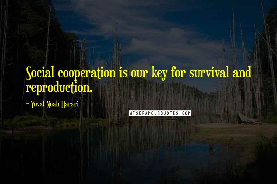 Yuval Noah Harari Quotes: Social cooperation is our key for survival and reproduction.