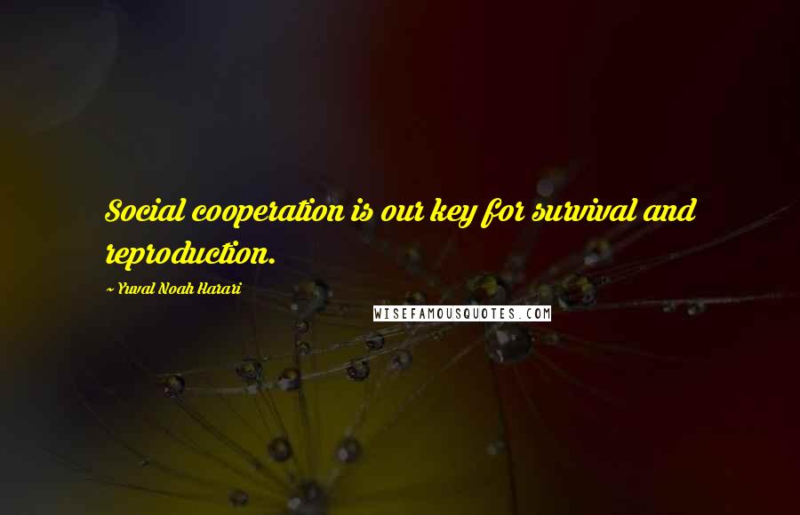 Yuval Noah Harari Quotes: Social cooperation is our key for survival and reproduction.