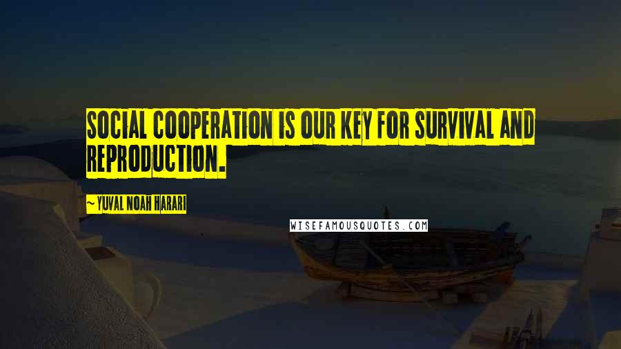 Yuval Noah Harari Quotes: Social cooperation is our key for survival and reproduction.