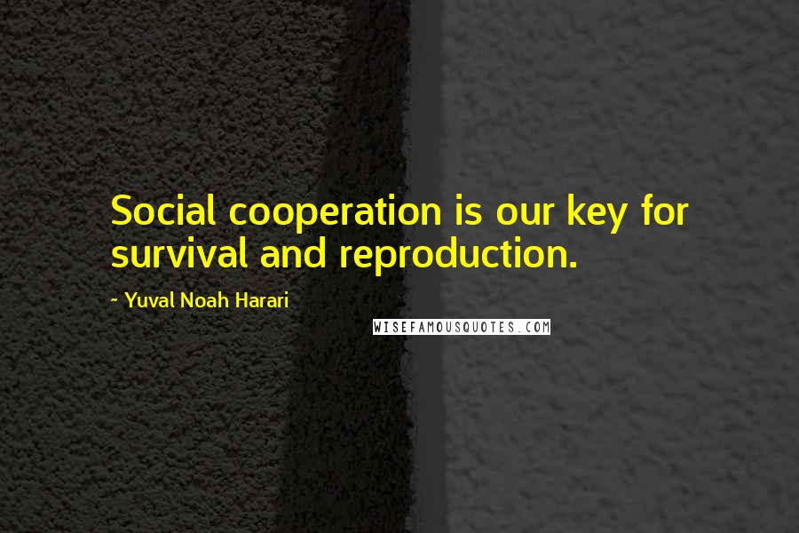 Yuval Noah Harari Quotes: Social cooperation is our key for survival and reproduction.