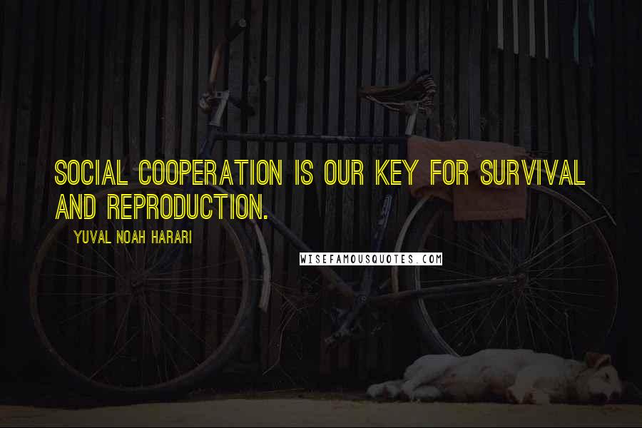 Yuval Noah Harari Quotes: Social cooperation is our key for survival and reproduction.