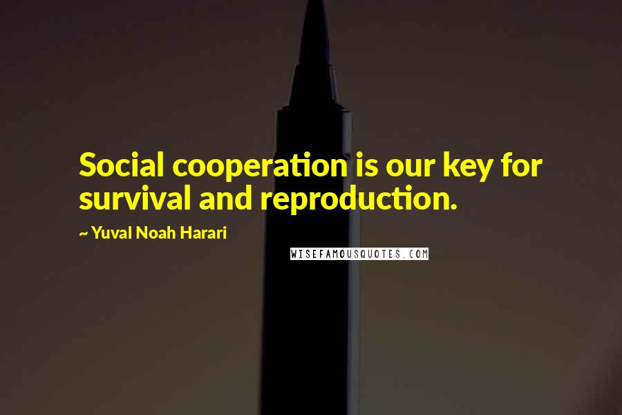 Yuval Noah Harari Quotes: Social cooperation is our key for survival and reproduction.