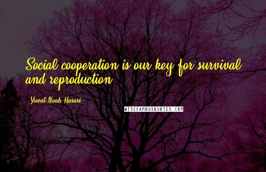 Yuval Noah Harari Quotes: Social cooperation is our key for survival and reproduction.