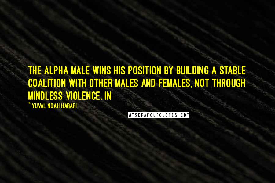 Yuval Noah Harari Quotes: the alpha male wins his position by building a stable coalition with other males and females, not through mindless violence. In