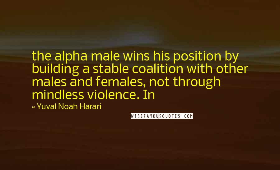 Yuval Noah Harari Quotes: the alpha male wins his position by building a stable coalition with other males and females, not through mindless violence. In