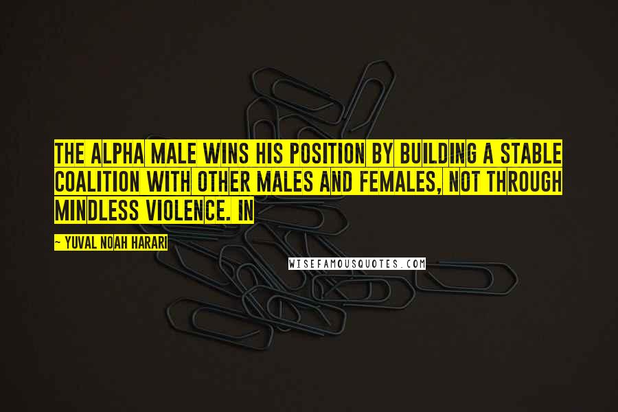 Yuval Noah Harari Quotes: the alpha male wins his position by building a stable coalition with other males and females, not through mindless violence. In