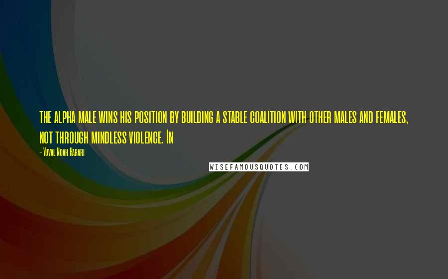 Yuval Noah Harari Quotes: the alpha male wins his position by building a stable coalition with other males and females, not through mindless violence. In
