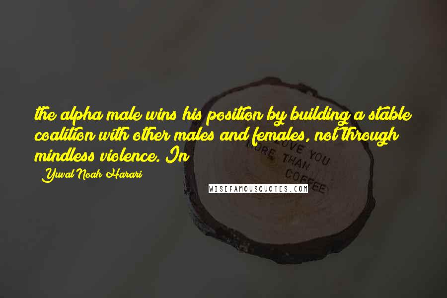 Yuval Noah Harari Quotes: the alpha male wins his position by building a stable coalition with other males and females, not through mindless violence. In