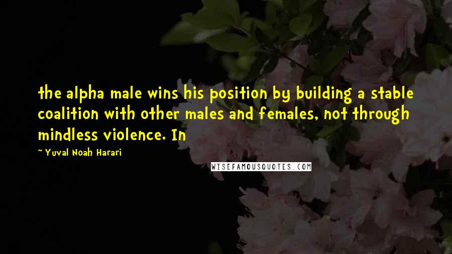 Yuval Noah Harari Quotes: the alpha male wins his position by building a stable coalition with other males and females, not through mindless violence. In